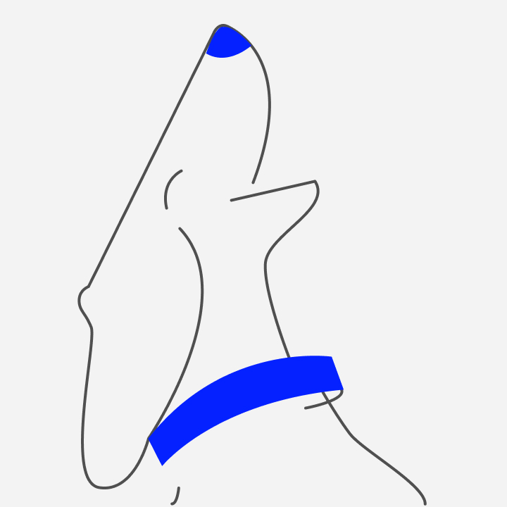 divider