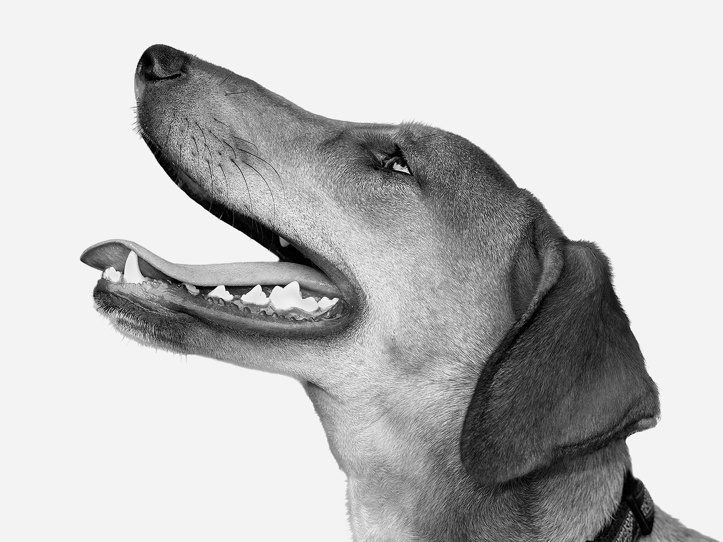 ben